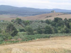 IMG_2431_thumb.jpg 11.4K