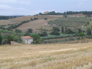 IMG_2432_thumb.jpg 11.7K