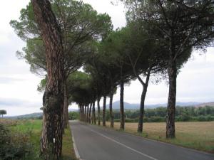 IMG_2433_thumb.jpg 14.1K