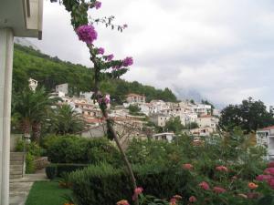 IMG_2453_thumb.jpg 14.1K