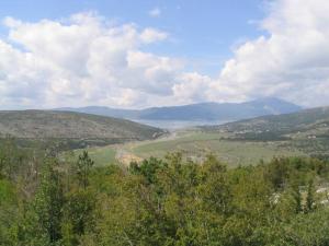 IMG_2455_thumb.jpg 11.8K