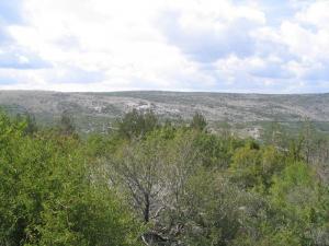 IMG_2457_thumb.jpg 13.0K