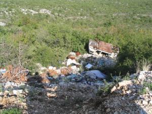 IMG_2458_thumb.jpg 20.2K