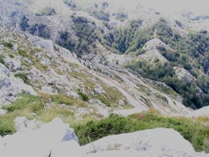 IMG_2462_thumb.jpg 16.5K