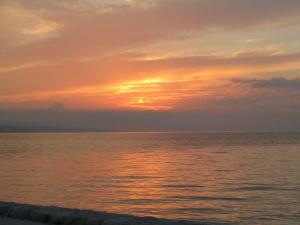 IMG_2493_thumb.jpg 8.0K