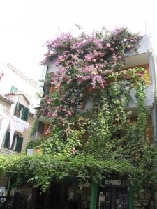 IMG_2507_thumb.jpg 16.8K