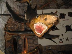 IMG_2513_thumb.jpg 13.0K