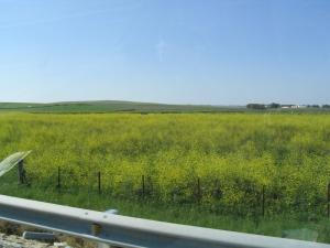 IMG_4032_thumb.jpg 10.0K