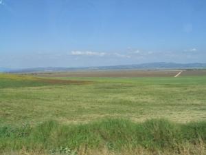 IMG_4034_thumb.jpg 8.4K