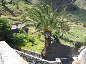 IMG_4254_thumb.jpg 20.2K