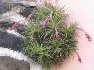 IMG_4279_thumb.jpg 16.1K