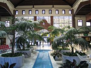 IMG_4292_thumb.jpg 18.8K