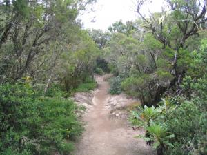 IMG_4295_thumb.jpg 18.1K