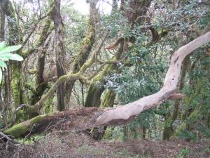 IMG_4296_thumb.jpg 21.7K