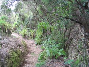 IMG_4300_thumb.jpg 21.4K