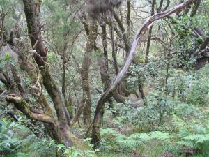 IMG_4303_thumb.jpg 23.0K