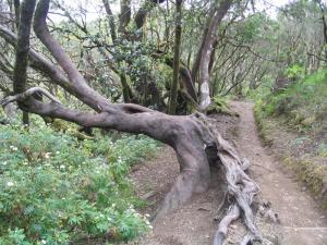 IMG_4305_thumb.jpg 21.4K