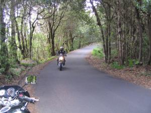 IMG_4308_thumb.jpg 16.3K