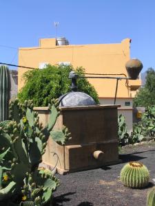 IMG_4564_thumb.jpg 14.9K