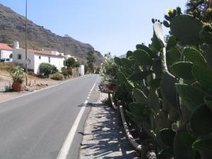 IMG_4568_thumb.jpg 12.9K