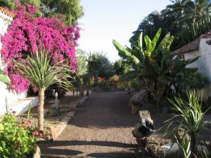 IMG_4575_thumb.jpg 19.6K