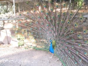 IMG_4586_thumb.jpg 19.3K