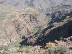 IMG_4594_thumb.jpg 17.2K