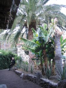 IMG_4639_thumb.jpg 19.4K