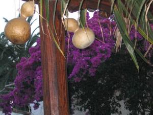 IMG_4650_thumb.jpg 15.5K