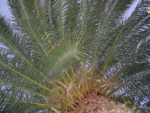 IMG_4660_thumb.jpg 19.2K