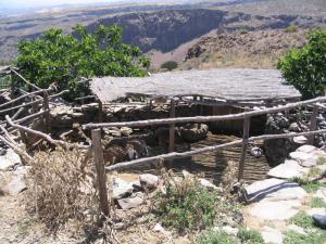 IMG_4695_thumb.jpg 22.3K