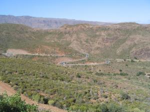 IMG_4729_thumb.jpg 13.4K