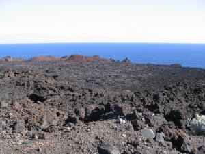 IMG_4376_thumb.jpg 15.3K