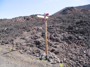 IMG_4380_thumb.jpg 20.2K