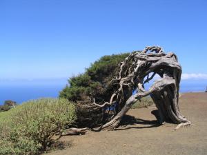 IMG_4389_thumb.jpg 11.8K