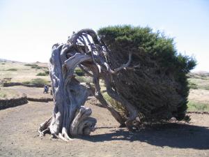 IMG_4391_thumb.jpg 13.6K