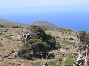 IMG_4393_thumb.jpg 14.0K