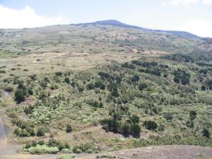 IMG_4395_thumb.jpg 16.9K