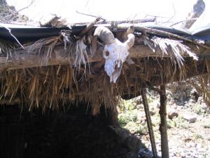 IMG_4397_thumb.jpg 16.2K