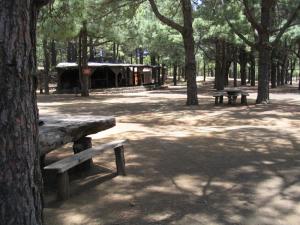 IMG_4399_thumb.jpg 17.2K