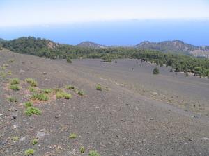 IMG_4405_thumb.jpg 11.6K