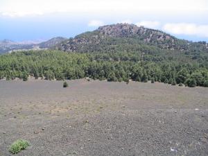 IMG_4406_thumb.jpg 13.4K