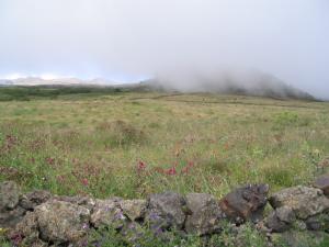 IMG_4433_thumb.jpg 11.7K