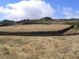 IMG_4434_thumb.jpg 13.3K