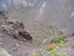 IMG_4086_thumb.jpg 14.2K