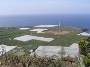 IMG_4109_thumb.jpg 12.3K