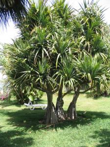 IMG_4111_thumb.jpg 23.9K