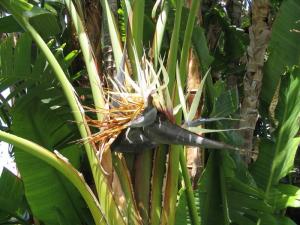 IMG_4112_thumb.jpg 18.1K