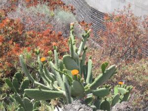 IMG_4113_thumb.jpg 22.2K