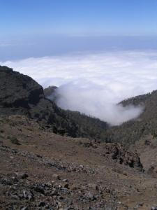 IMG_4154_thumb.jpg 10.9K